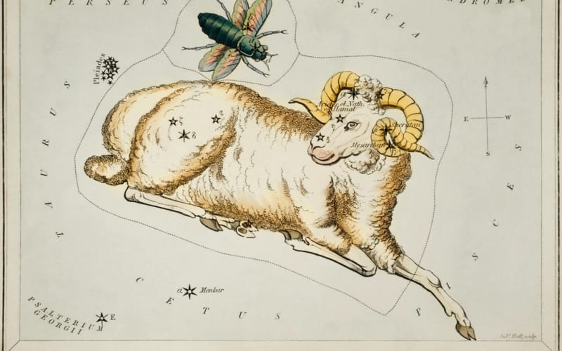 KP Astrology Reading