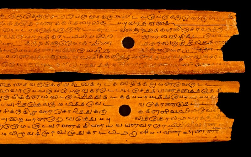 Nadi Astrology